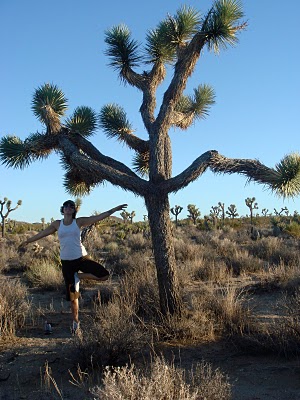 I am Being activated