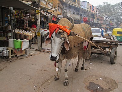 I am Being In India.