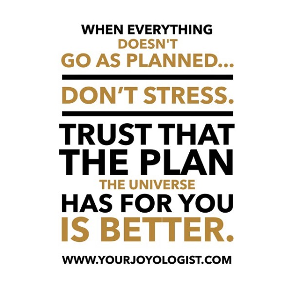 Trust the bigger plan - www.yourjoyologist.com